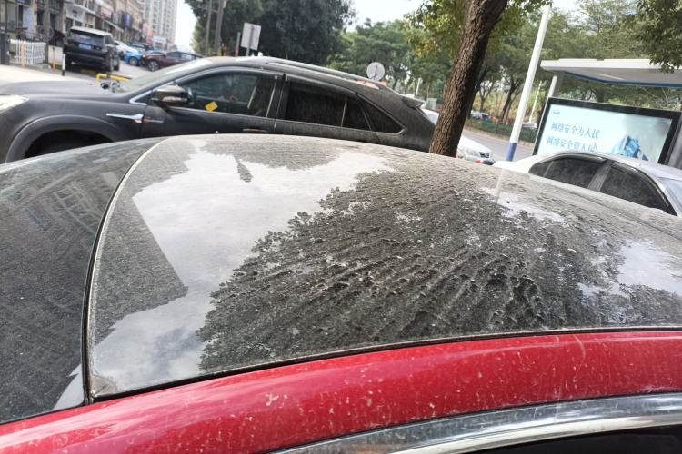 Used Tesla Model 3 2021 Standard Range Rear-Drive Upgraded Version