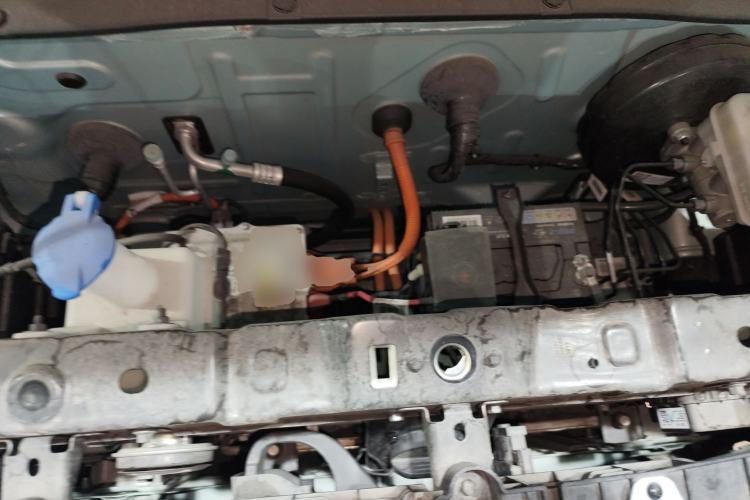 Used  Panda 2023 Panda Mini 200km Endurance Bear
