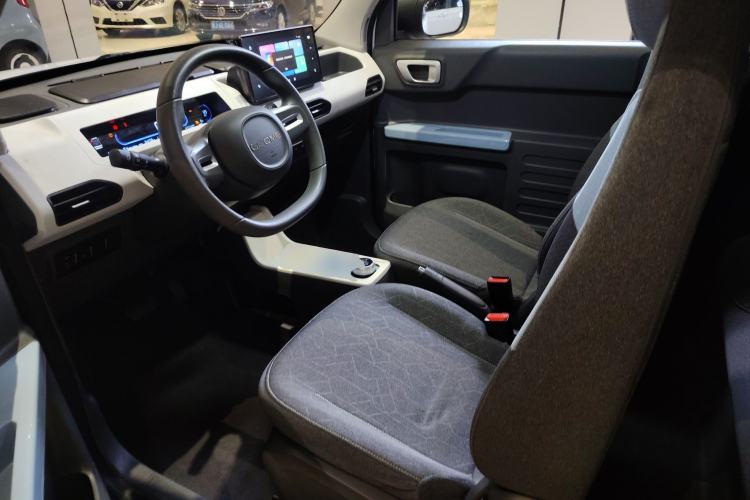 Used  Panda 2023 Panda Mini 200km Endurance Bear
