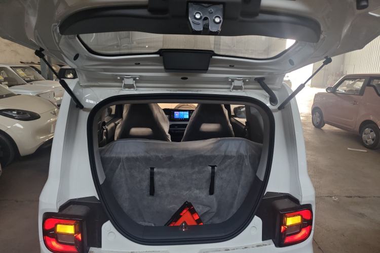 Used  Panda 2024 Panda Mini 200km Endurance Bear
