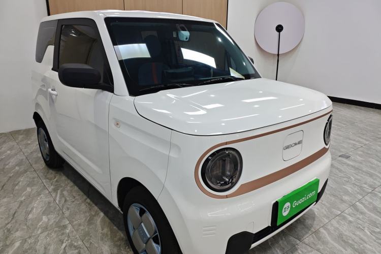 Used  Panda 2024 Panda Mini 200km Endurance Bear
