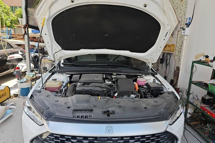 Used BYD Qin PLUS 2023 Champion Edition DM-i 55KM Leading Model
