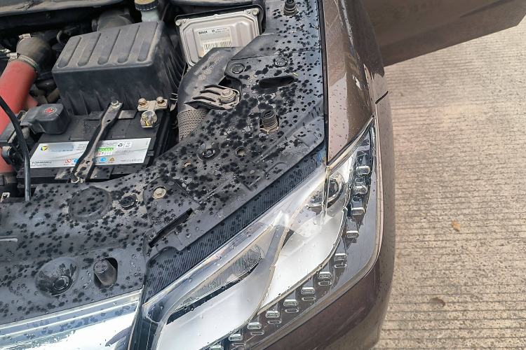 Used Haval H2 2017 Red-Label 1.5T Automatic Two-Wheel Drive Luxury Model
