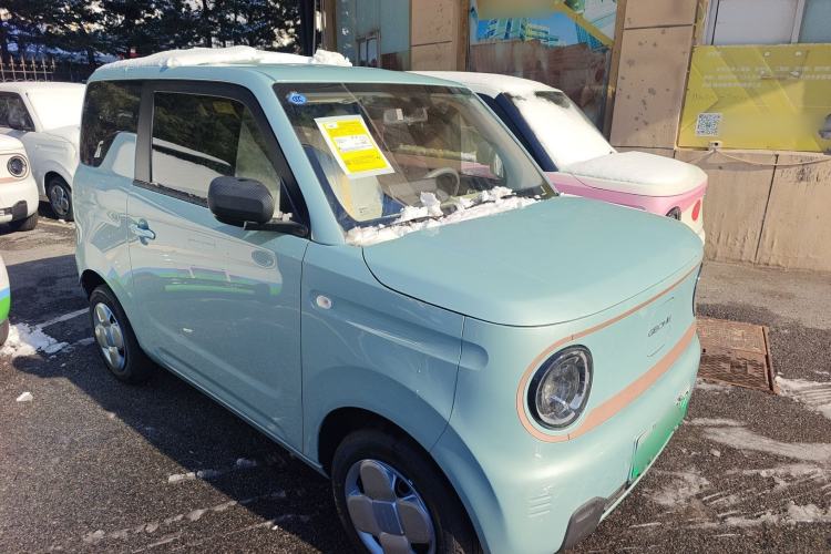 Used  Panda 2024 Panda Mini 200km Endurance Bear