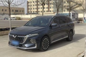 Used Wuling Victory 2023 2.0L DHT Deluxe Edition