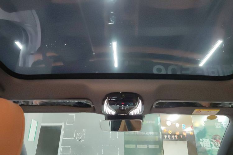 Used VOYAH PASSION 2024 PHEV Four-Wheel Drive Ultra-Long Range Flagship Model
