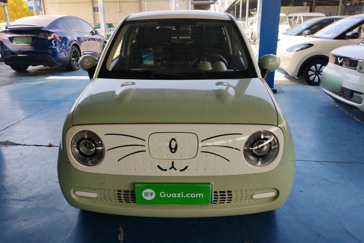 Used ORA Black Cat 2022 301km "Cute Pet" Version – Lithium Iron Phosphate
