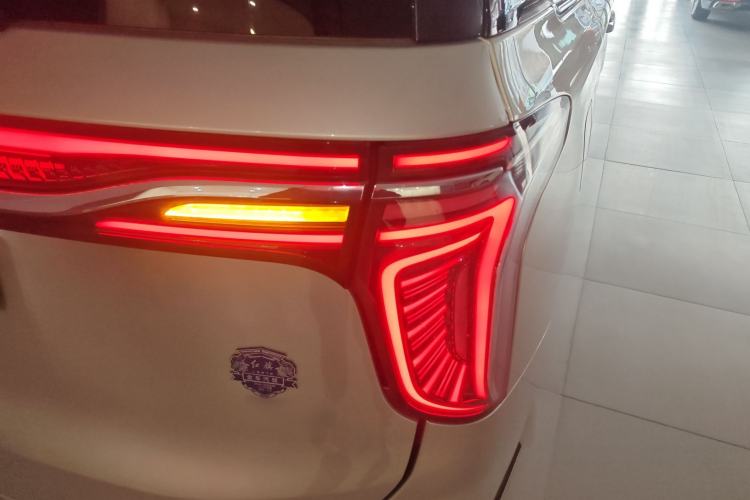 Used Hongqi HQ9 2023 2.0T Smart Connect Flagship Edition