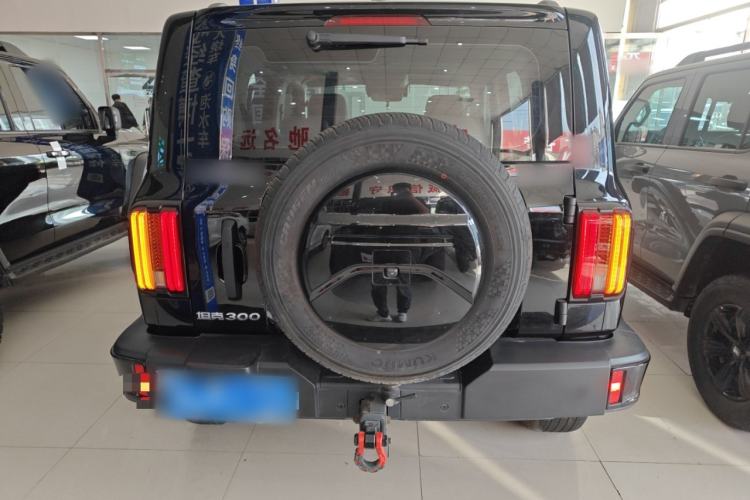 Used Tank 300 2024 2.0T Conqueror
