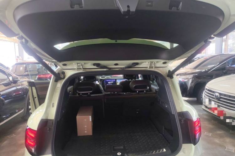 Used  #5 2024 Ultra-Long Range Extraordinary Journey Luxury Edition