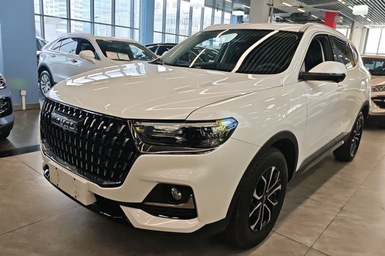 Used Haval H6 2023 National Trend Edition 1.5T Automatic Urban Version