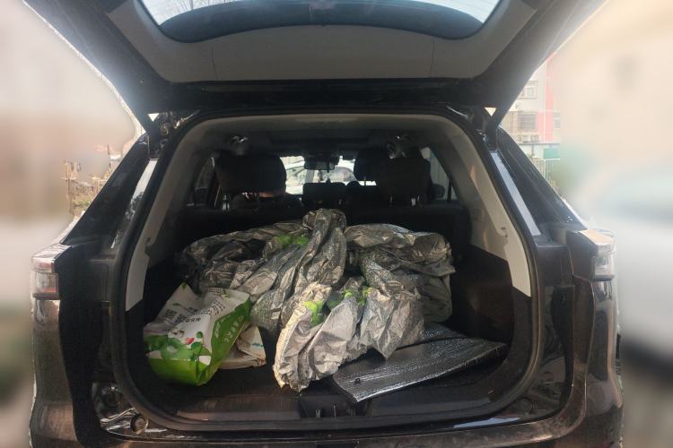 Used Chery Tiggo 8 PLUS 2025 290TGDI DCT Luxury 5-Seater