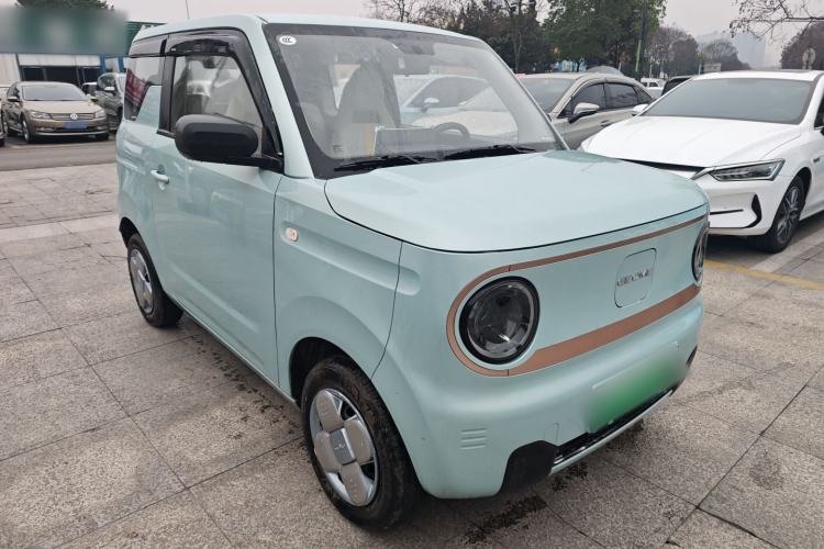 Used  Panda 2024 Panda Mini 200km Endurance Bear