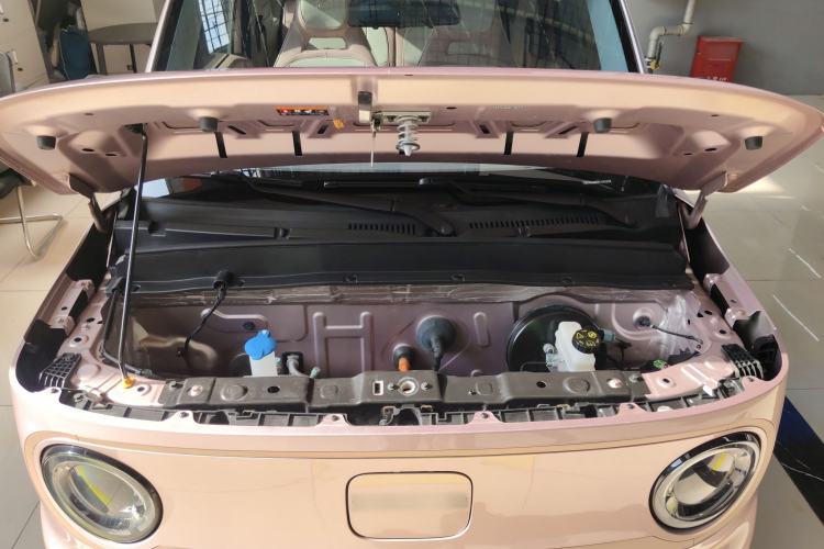 Used  Panda 2023 Panda Mini 200km Endurance Bear
