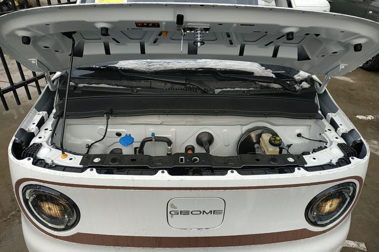 Used  Panda 2024 Panda Mini 200km Endurance Bear
