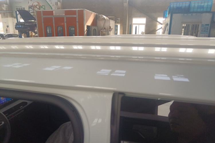 Used  Panda 2024 Panda Mini 200km Endurance Bear