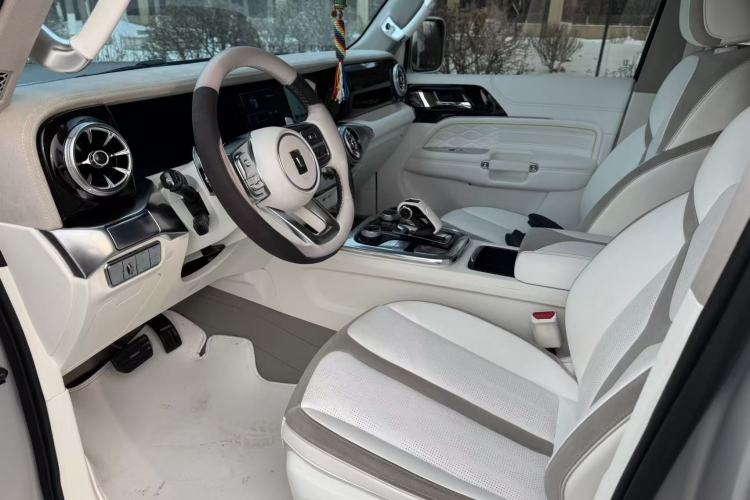 Used  Tank 300 2021 2.0T Cyber Tank