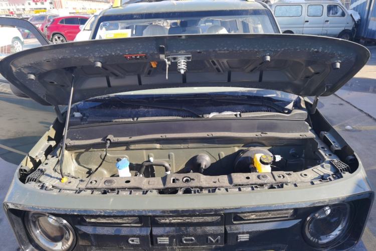 Used  Panda 2025 210km Panda Rider
