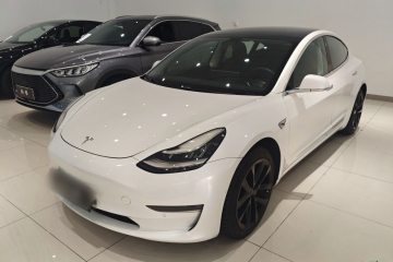 Used Tesla Model 3 2019 Long-Range Rear-Wheel-Drive Version
