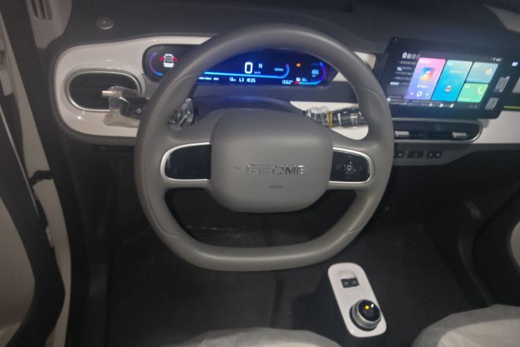 Used  Panda 2025 210 km – Yuanqi Bear
