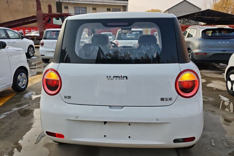 Used  Lumin 2025 205 km Xiangqin Version
