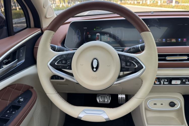 Used ORA Good Cat 2024 401 km Luxury Version
