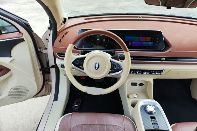 Used ORA Good Cat 2021 400km Standard Range Athena Edition Lithium Iron Phosphate