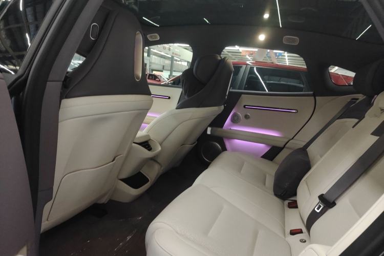 Used  06 2025 Max Extended-Range Edition