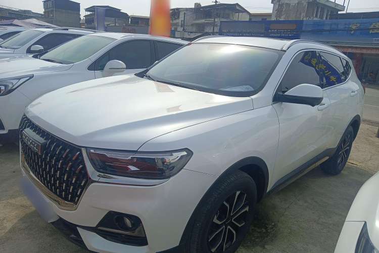 Used Haval H6 2023 National Trend Edition 1.5T Automatic Urban Version
