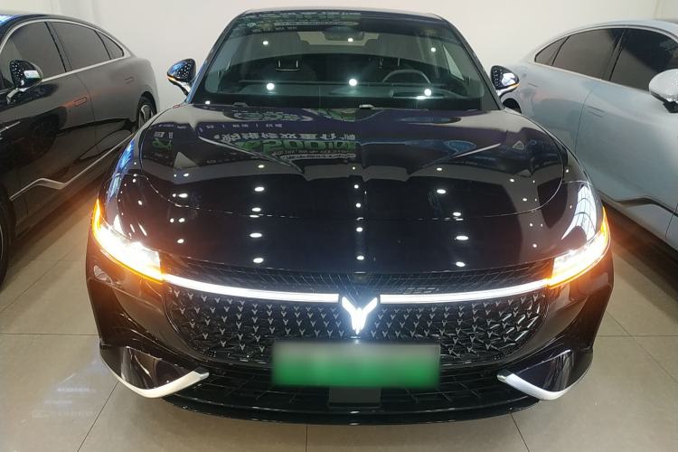 Used VOYAH PASSION 2024 PHEV Four-Wheel Drive Ultra-Long Range Flagship Model
