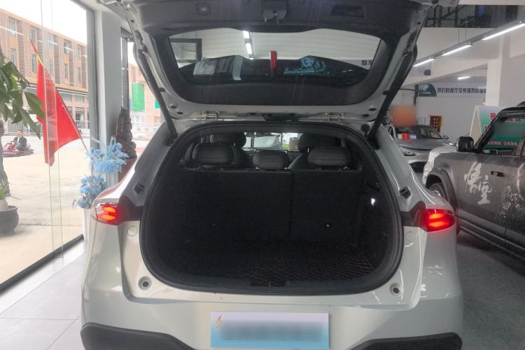 Used  S05 2024 510 Ultra Pure Electric Version
