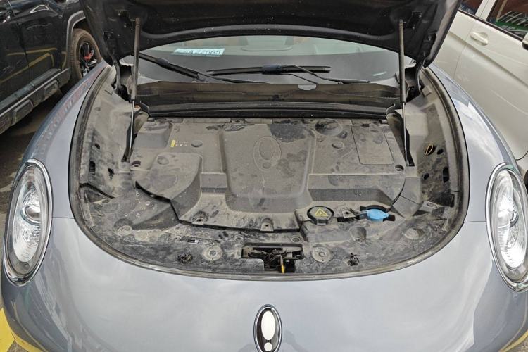 Used ORA Lightning Cat 2022 555 km Luxury Edition
