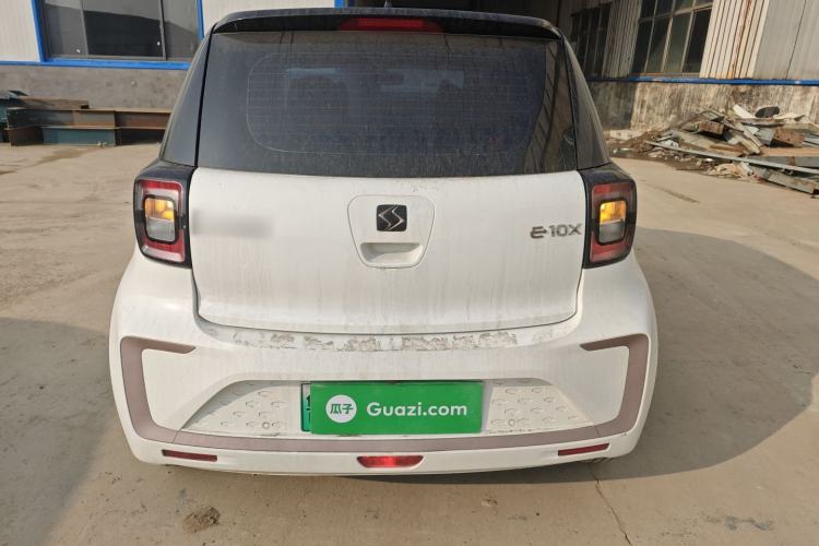 Used SOL E10X 2022 Flower Fairy Design Four-Leaf Clover