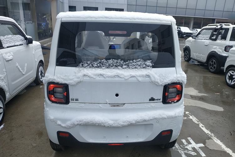 Used  Panda 2024 Panda Mini 200km Endurance Bear
