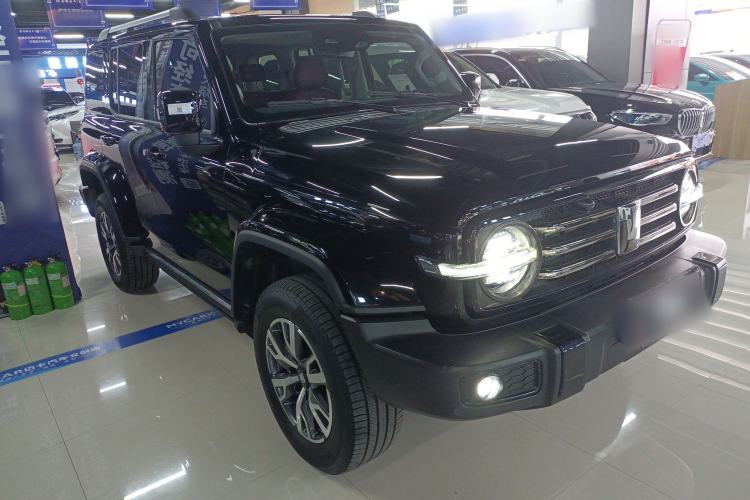 Used Tank 300 2024 2.0T Crosser