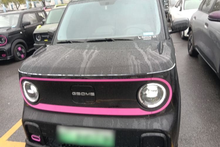 Used  Panda 2024 200km Panda Kart
