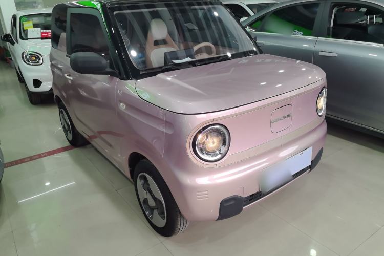 Used  Panda 2023 Panda Mini 200km Dynamic Bear
