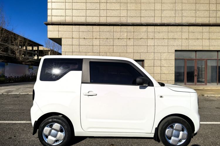 Used  Panda 2024 Panda Mini 200km Endurance Bear
