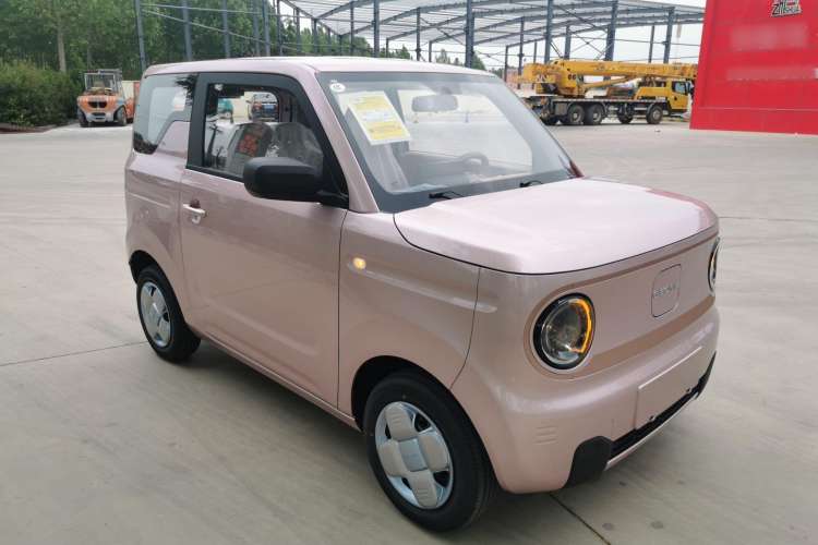 Used  Panda 2024 Panda Mini 200km Endurance Bear
