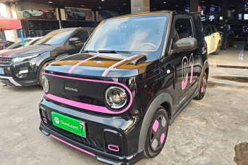 Used Geely Galaxy Panda 2024 200km Panda Kart