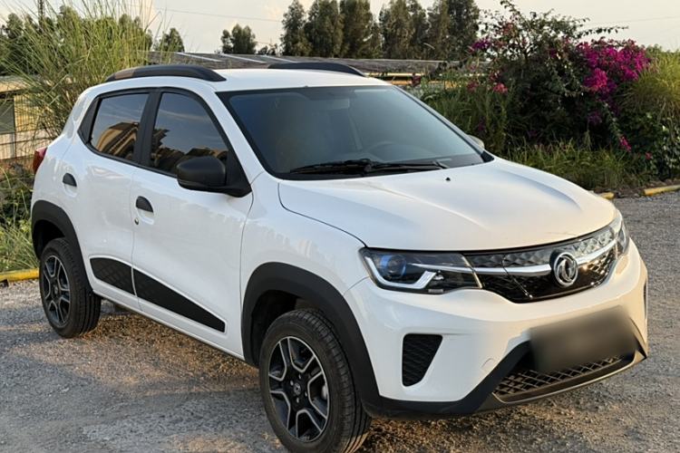 Used Dongfeng NAMMI EX1 2023 PRO Light Wind Edition Lightning Model
