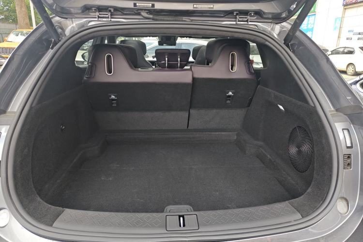 Used  07 2024 Max Extended-Range Edition
