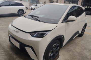 Used BYD Seagull 2025 305 km Free Version
