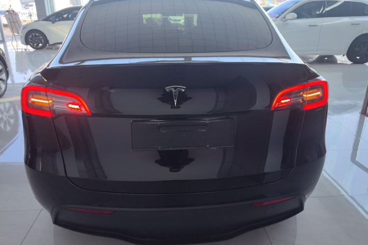 Used Tesla Model Y 2021 Standard Range Rear-Wheel Drive Version
