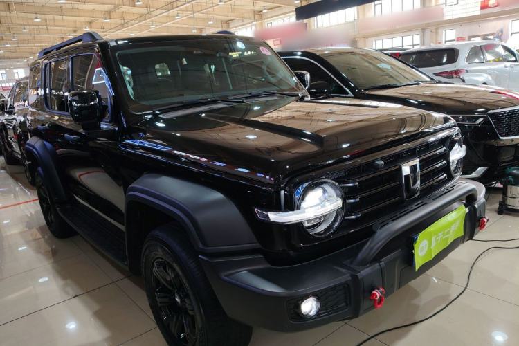 Used Tank 300 2024 2.0T Conqueror