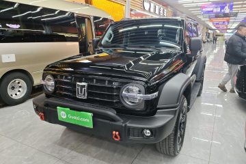 Used Tank 300 2024 2.0T Conqueror