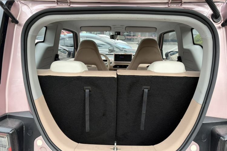 Used  Panda 2023 Panda Mini 200km Endurance Bear
