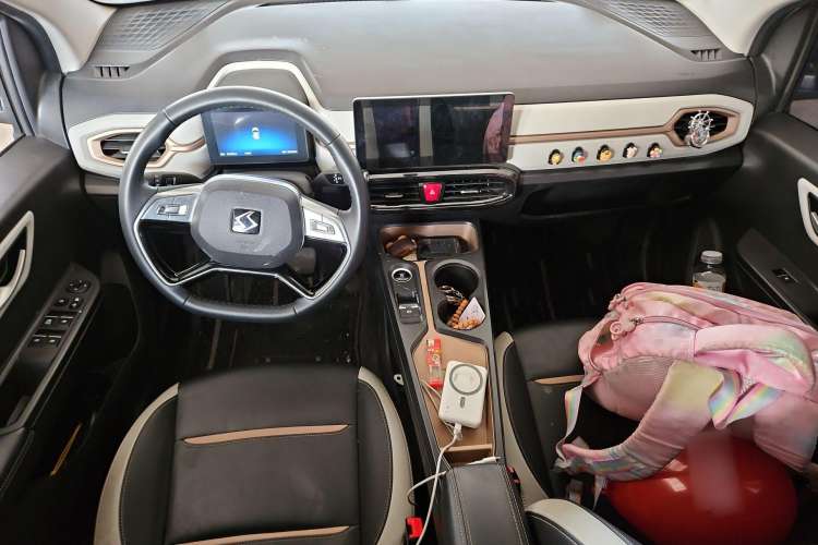 Used SOL E10X 2022 Flower Fairy Design Four-Leaf Clover
