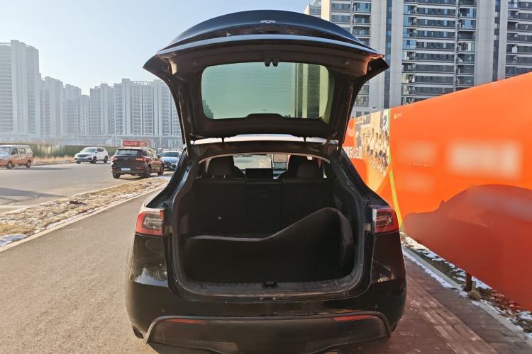 Used Tesla Model Y 2021 Standard Range Rear-Wheel Drive Version
