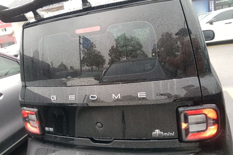 Used  Panda 2024 200km Panda Kart
